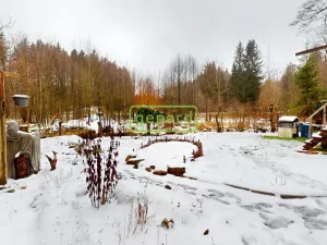 Prodej chaty, Nový Hrádek - Rzy, 43 m2