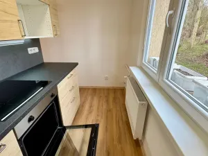 Pronájem bytu 3+1, Kadaň, Budovatelů, 70 m2