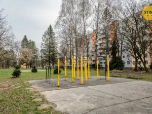 Prodej bytu 1+kk, Ostrava, Alžírská, 25 m2