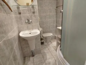 Pronájem bytu 1+1, Chodov, Palackého, 33 m2