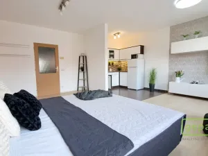 Pronájem bytu 1+kk, Brno, Keřová, 41 m2