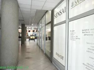 Pronájem obchodního prostoru, Brno - Zábrdovice, Příkop, 35 m2