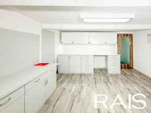 Prodej vícegeneračního domu, Hodonín, Muchova, 235 m2