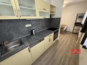 Prodej bytu 2+1, Herálec - Dubí, 61 m2