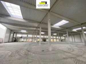 Pronájem skladu, Benátky nad Jizerou - Benátky nad Jizerou II, Průmyslová, 10232 m2