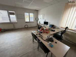 Pronájem skladu, Bílina - Chudeřice, Sadová, 1532 m2