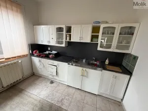 Pronájem skladu, Bílina - Chudeřice, Sadová, 1532 m2