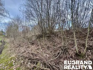 Prodej pozemku pro bydlení, Krásná Lípa, 254 m2