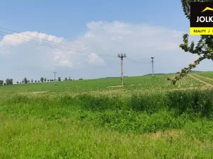 Prodej pozemku pro bydlení, Bělotín, 7268 m2