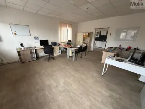 Pronájem výrobních prostor, Bílina - Chudeřice, Sadová, 1532 m2