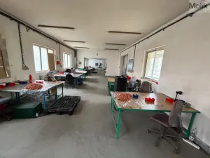 Pronájem obchodního prostoru, Bílina - Chudeřice, Sadová, 1532 m2