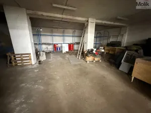 Pronájem obchodního prostoru, Bílina - Chudeřice, Sadová, 1532 m2