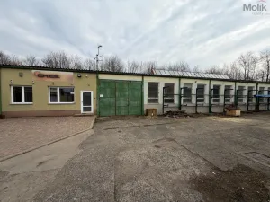 Pronájem obchodního prostoru, Bílina - Chudeřice, Sadová, 1532 m2