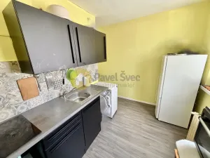 Prodej bytu 2+1, Strakonice - Strakonice I, Krále Jiřího z Poděbrad, 56 m2