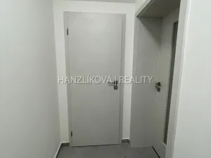 Pronájem bytu 2+kk, České Budějovice - České Budějovice 3, Nová, 37 m2