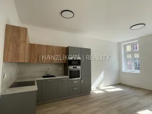 Pronájem bytu 2+kk, České Budějovice - České Budějovice 3, Nová, 42 m2
