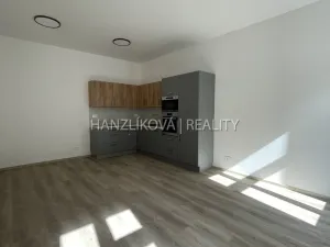 Pronájem bytu 2+kk, České Budějovice - České Budějovice 3, Nová, 42 m2