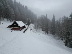 Prodej ubytování, Malá Úpa - Dolní Malá Úpa, 110 m2