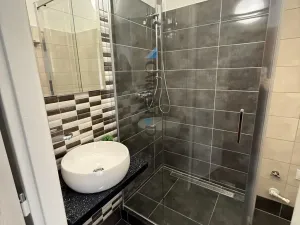 Pronájem bytu 1+1, Ostrava - Poruba, Opavská, 36 m2