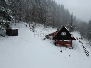 Prodej komerčního pozemku, Malá Úpa - Dolní Malá Úpa, 9164 m2