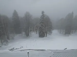 Prodej komerčního pozemku, Malá Úpa - Dolní Malá Úpa, 9164 m2