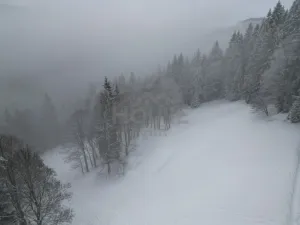 Prodej komerčního pozemku, Malá Úpa - Dolní Malá Úpa, 9164 m2