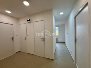 Pronájem bytu 2+1, Kadaň, Budovatelů, 52 m2