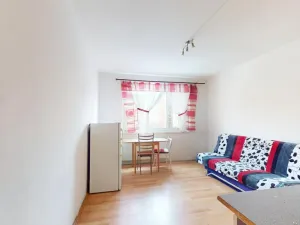 Prodej bytu 1+1, Jirkov, Na Borku, 39 m2