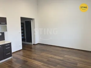 Pronájem bytu 2+kk, Opava, Hviezdoslavova, 52 m2