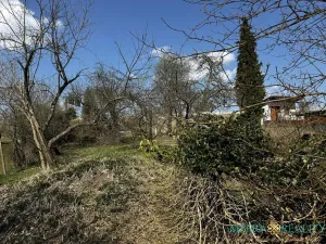 Prodej zahrady, Přerov, 1527 m2