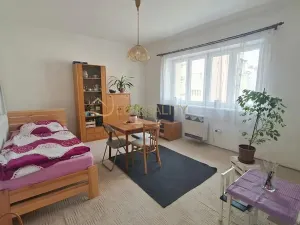 Pronájem bytu 1+1, Olomouc, Zeyerova, 40 m2