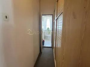 Pronájem bytu 1+1, Olomouc, Zeyerova, 40 m2