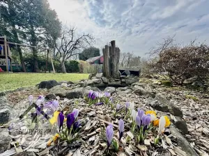 Prodej chaty, Nový Bor, U Vodárny, 29 m2