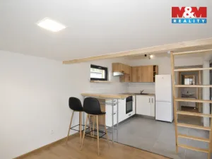 Pronájem chaty, Praha, Za Rokytkou, 35 m2