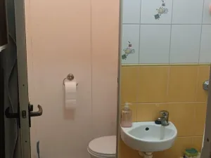 Pronájem bytu 1+1, Ostrava, Lumírova, 38 m2