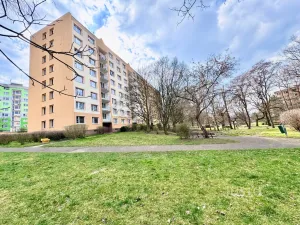 Pronájem bytu 2+1, Ústí nad Labem - Střekov, Nová, 60 m2