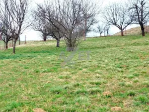 Prodej pozemku pro bydlení, Police, 1266 m2