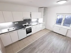 Pronájem bytu 2+1, Štěpánkovice, Mlýnská, 79 m2