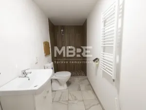 Pronájem bytu 2+kk, Štěpánkovice, Mlýnská, 52 m2