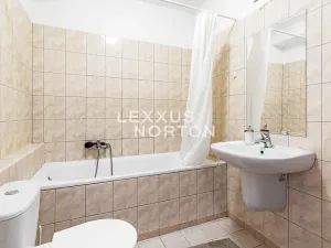 Prodej bytu 1+kk, Praha - Libeň, Nad Okrouhlíkem, 47 m2