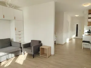 Pronájem bytu 1+kk, Plzeň, Klatovská třída, 47 m2