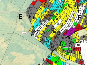 Dražba lesa, Vilice, 2384 m2