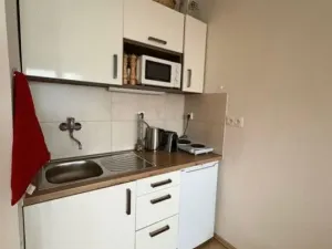 Pronájem bytu 1+kk, Praha - Michle, V dolině, 21 m2