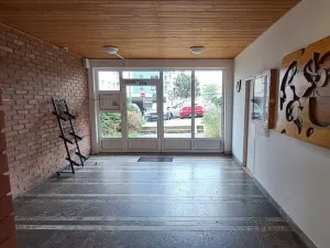 Pronájem bytu 1+kk, Praha - Michle, V dolině, 21 m2