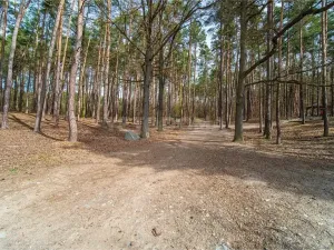 Prodej bytu 3+1, Plzeň, Rabštejnská, 72 m2