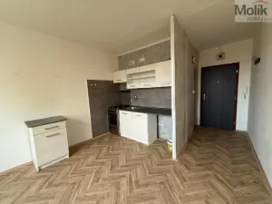 Pronájem bytu 1+1, Bílina - Teplické Předměstí, Sídliště Za Chlumem, 35 m2