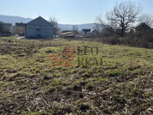 Prodej pozemku pro bydlení, Ludvíkovice, 3129 m2