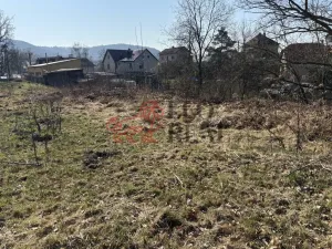 Prodej pozemku pro bydlení, Ludvíkovice, 3129 m2