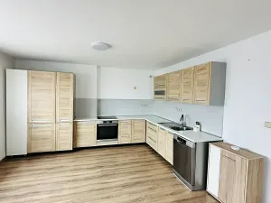 Pronájem bytu 2+kk, Horní Ředice, 63 m2