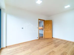 Pronájem bytu 2+kk, Kralupy nad Vltavou, 55 m2